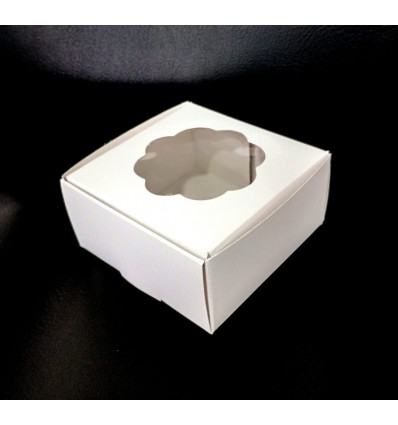 Caja Visor Blanca 10 X 10 X 5 X 1